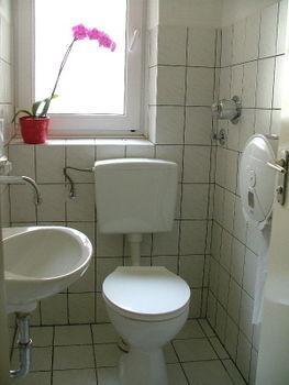 Gasthof Haydn 2*